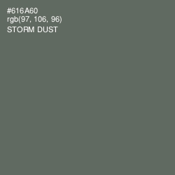 #616A60 - Storm Dust Color Image