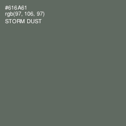 #616A61 - Storm Dust Color Image