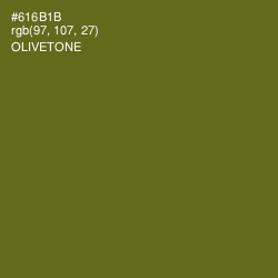 #616B1B - Olivetone Color Image