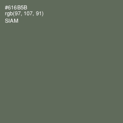 #616B5B - Siam Color Image