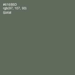 #616B5D - Siam Color Image