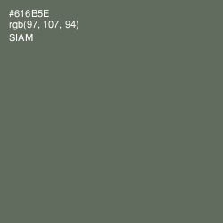 #616B5E - Siam Color Image