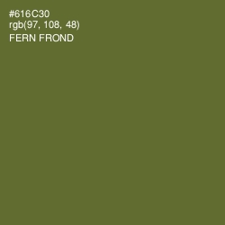 #616C30 - Fern Frond Color Image