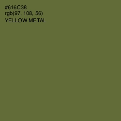 #616C38 - Yellow Metal Color Image