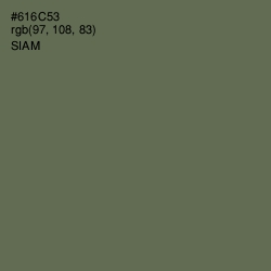 #616C53 - Siam Color Image