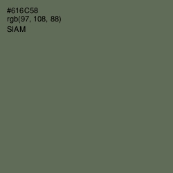 #616C58 - Siam Color Image