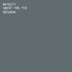 #616C71 - Nevada Color Image