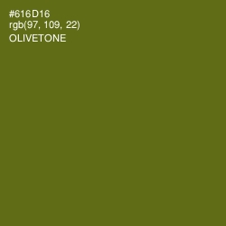 #616D16 - Olivetone Color Image