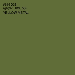 #616D38 - Yellow Metal Color Image