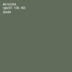 #616D5A - Siam Color Image