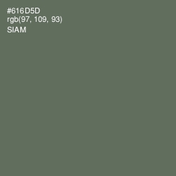 #616D5D - Siam Color Image