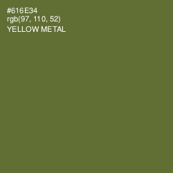 #616E34 - Yellow Metal Color Image