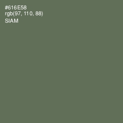 #616E58 - Siam Color Image