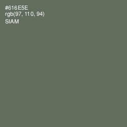 #616E5E - Siam Color Image