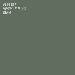 #616E5F - Siam Color Image