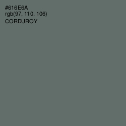 #616E6A - Corduroy Color Image