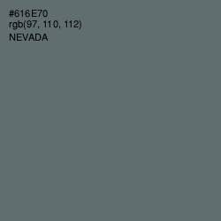 #616E70 - Nevada Color Image