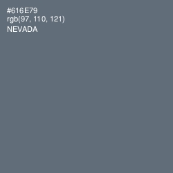 #616E79 - Nevada Color Image