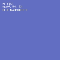 #616EC1 - Blue Marguerite Color Image