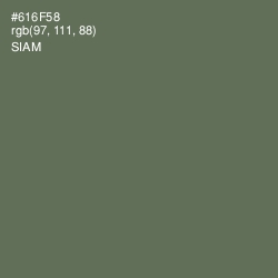 #616F58 - Siam Color Image