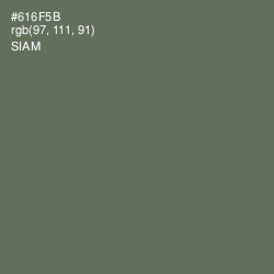 #616F5B - Siam Color Image