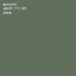 #616F5C - Siam Color Image