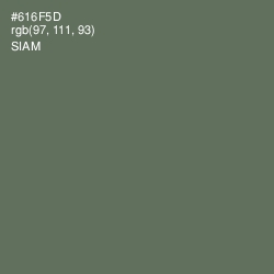 #616F5D - Siam Color Image