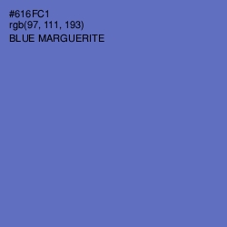 #616FC1 - Blue Marguerite Color Image