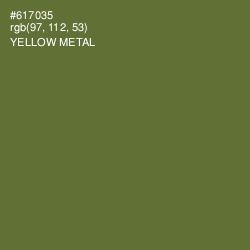 #617035 - Yellow Metal Color Image