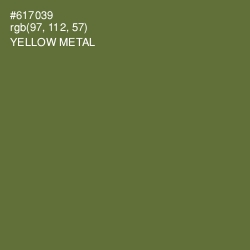 #617039 - Yellow Metal Color Image