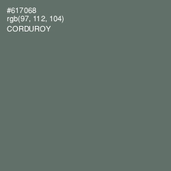 #617068 - Corduroy Color Image