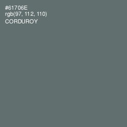 #61706E - Corduroy Color Image
