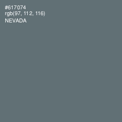 #617074 - Nevada Color Image