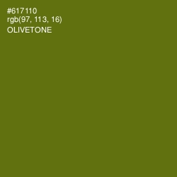 #617110 - Olivetone Color Image
