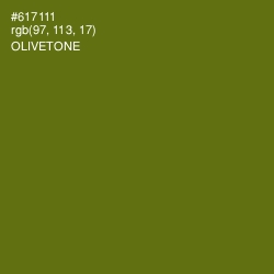 #617111 - Olivetone Color Image