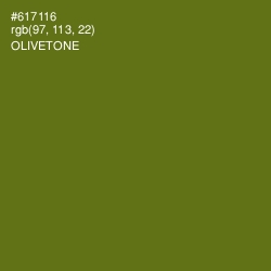 #617116 - Olivetone Color Image