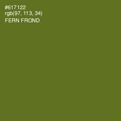 #617122 - Fern Frond Color Image