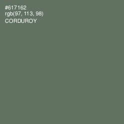 #617162 - Corduroy Color Image