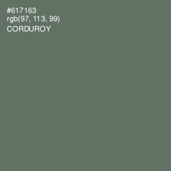 #617163 - Corduroy Color Image