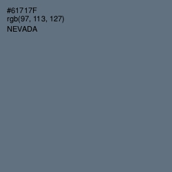 #61717F - Nevada Color Image