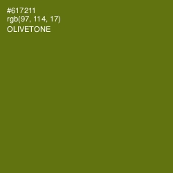 #617211 - Olivetone Color Image