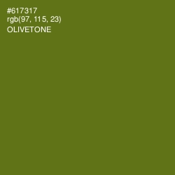 #617317 - Olivetone Color Image