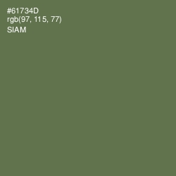 #61734D - Siam Color Image