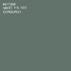 #61736B - Corduroy Color Image