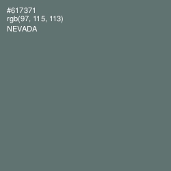 #617371 - Nevada Color Image