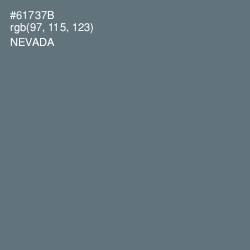 #61737B - Nevada Color Image