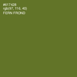 #617428 - Fern Frond Color Image