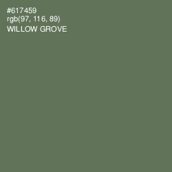 #617459 - Willow Grove Color Image