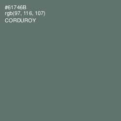 #61746B - Corduroy Color Image