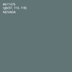 #617476 - Nevada Color Image